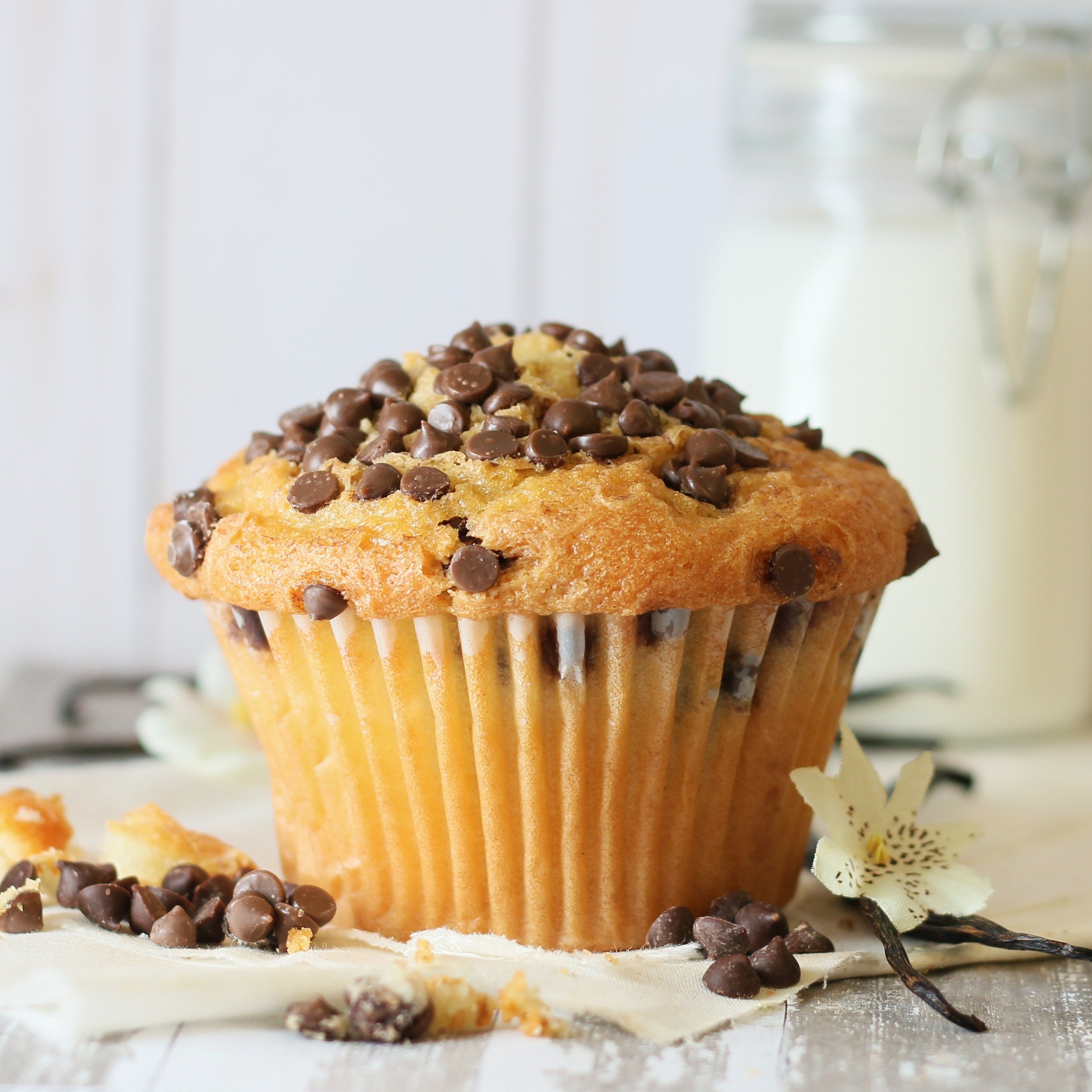 French Vanilla Muffin