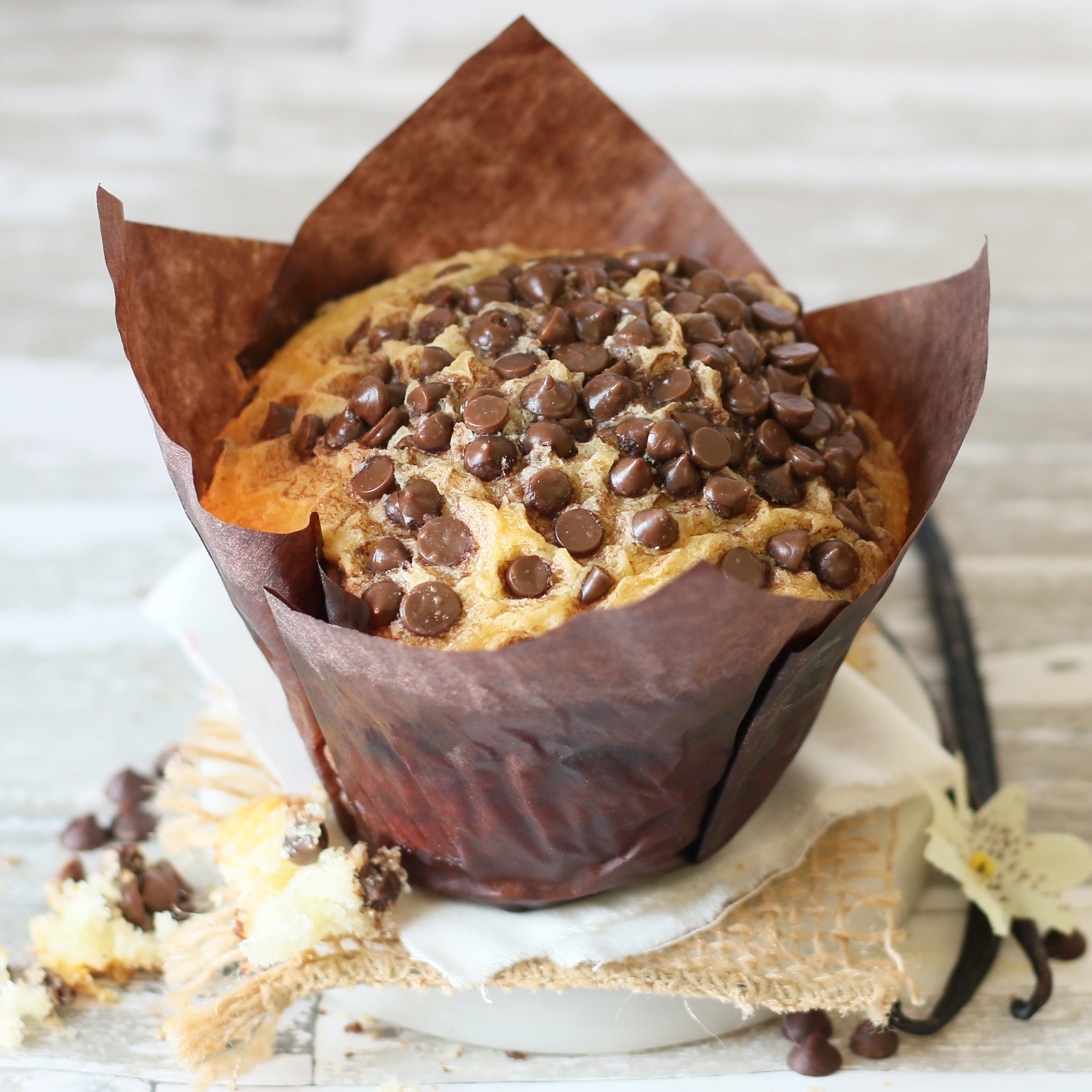 French Vanilla Muffin