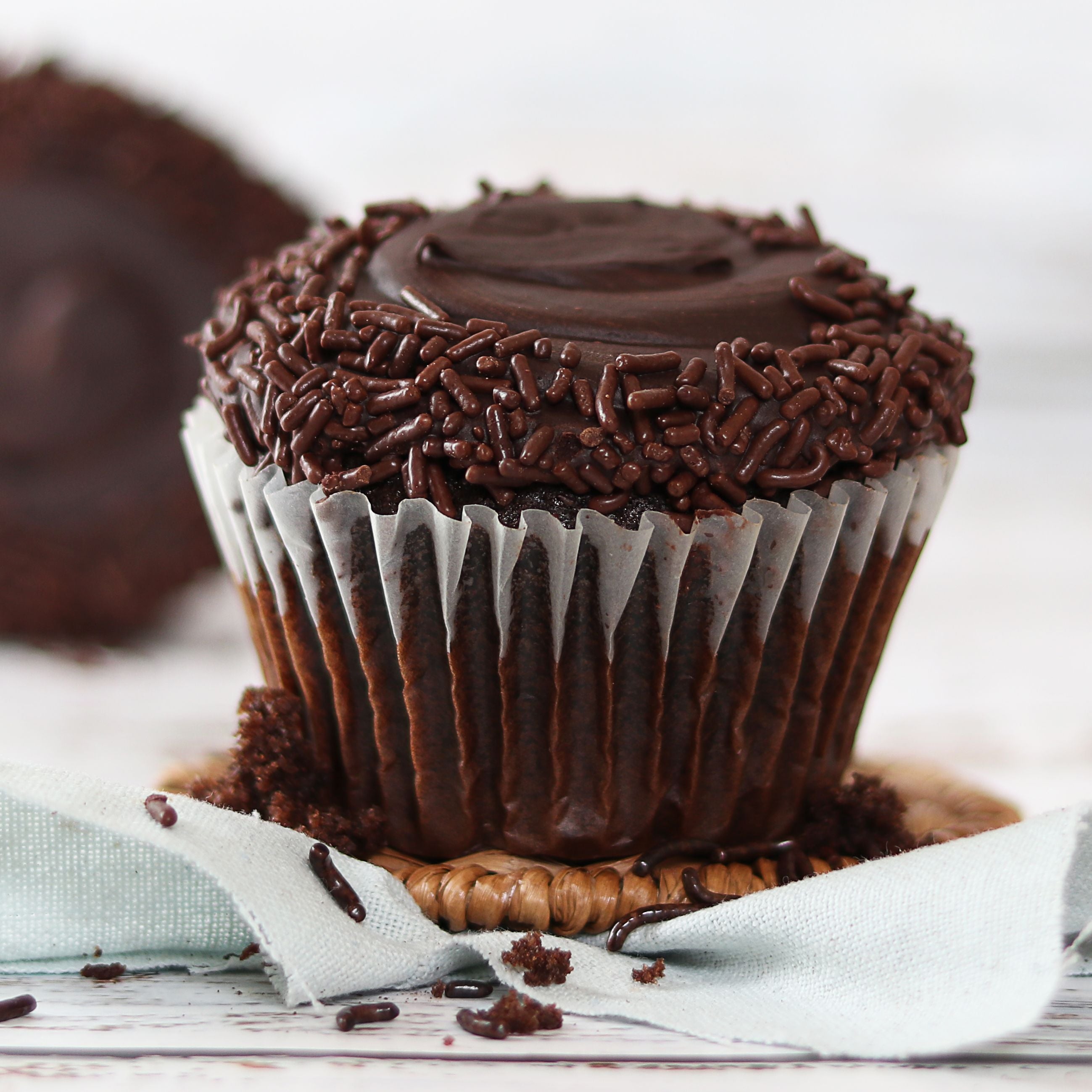 Cupcake Chocolate Sprinkle